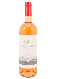 Vinho rosé Bach Viña Extrísima Rosado