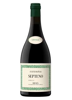 Vinho tinto Cuentaviñas Septeno