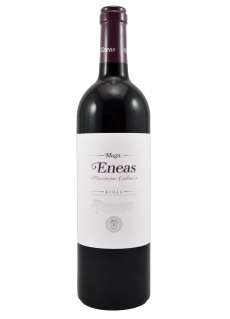 Vinho tinto Eneas Maceración Carbónica