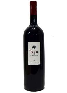 Vinho tinto Fagus Magnum