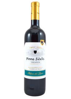 Vinho tinto Pinna Fidelis  2021 - 3 Uds.