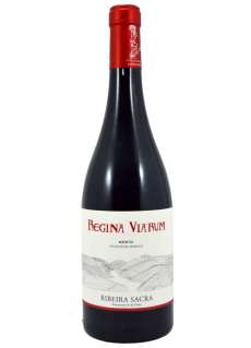 Vinho tinto Regina Viarum Mencía 2024 - 3 Uds.
