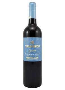 Vinho tinto Valdubón 9 Meses